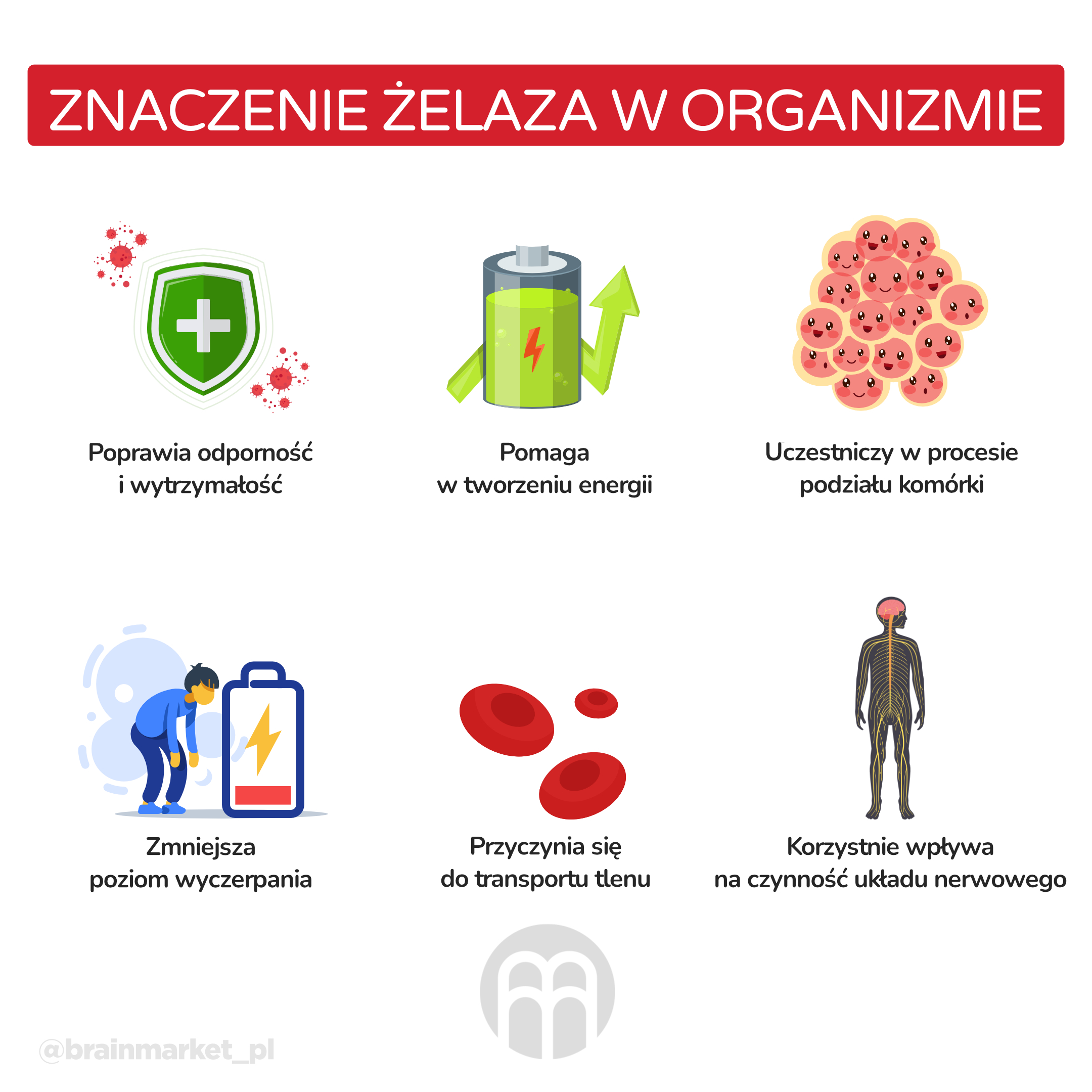 vyznam-zeleza-v-tele-infografika_pl